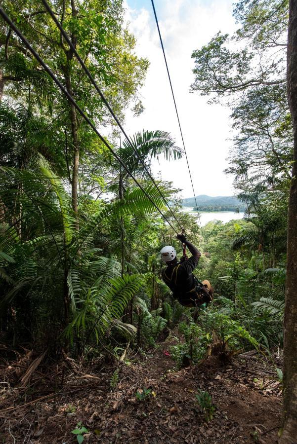 Gamboa Rainforest Reserve Екстер'єр фото